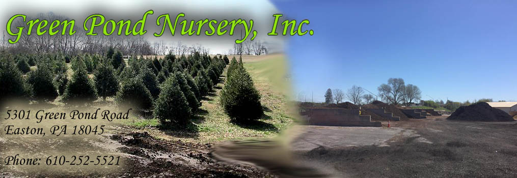 Greenpond Nursery - Lehigh Valley, PA